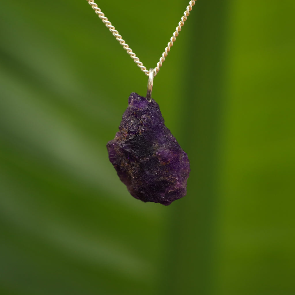 Ruwe Hackmaniet - Afghanistan