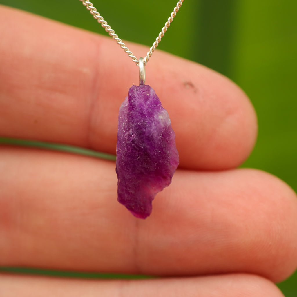 Ruwe Hackmaniet - Afghanistan