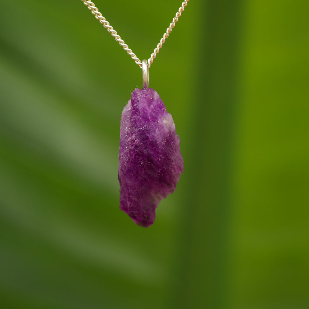 Ruwe Hackmaniet - Afghanistan