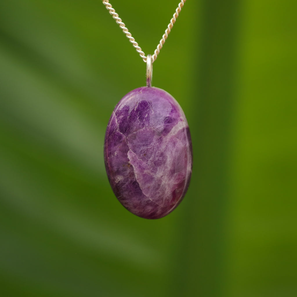 Hackmaniet - Afghanistan