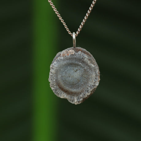 Chalcedoon roos