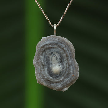 Chalcedoon roos