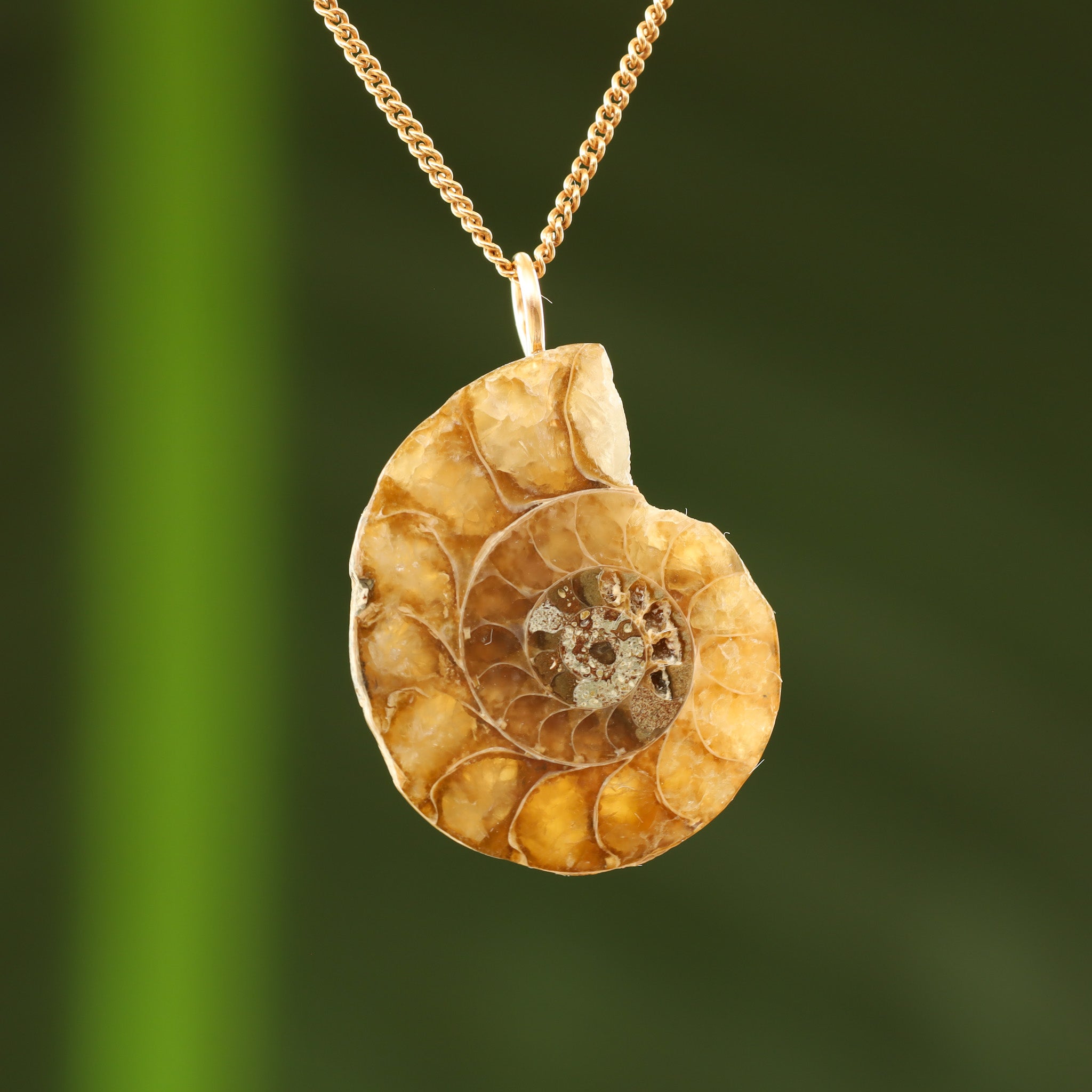 Natuurlijke ammoniet fossiele schelp ketting, zilveren ammoniet hanger, citrien hanger, november Birthstone sieraden, echte fossiele edelsteen - België Natuurlijke ammoniet fossiele schelp ketting, zilveren ammoniet hanger, citrien hanger, november Birthstone sieraden, echte fossiele edelsteen - België