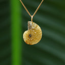 Ammoniet hanger