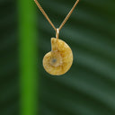 Ammoniet hanger