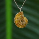 Ammoniet hanger