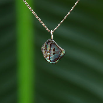 Paua schelp hanger