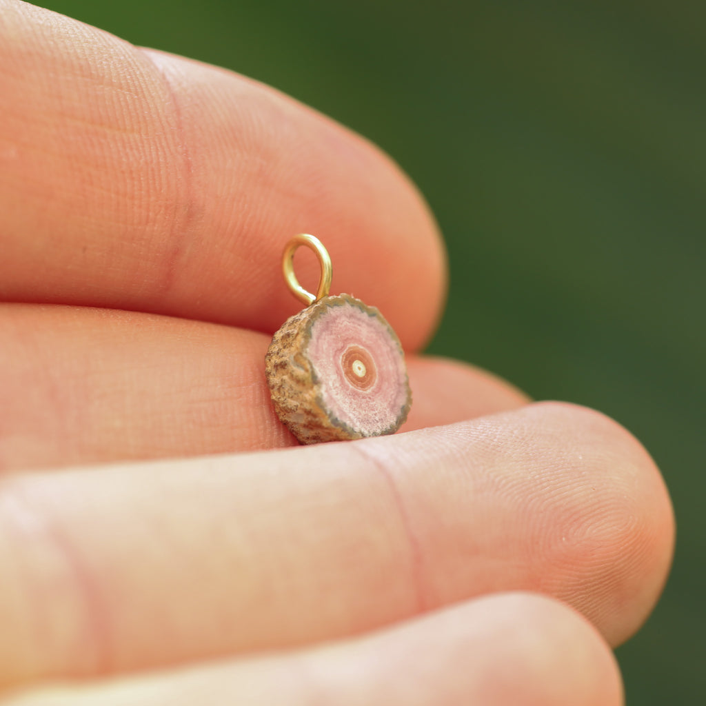 Rhodochrosiet stalactiet - Argentinië