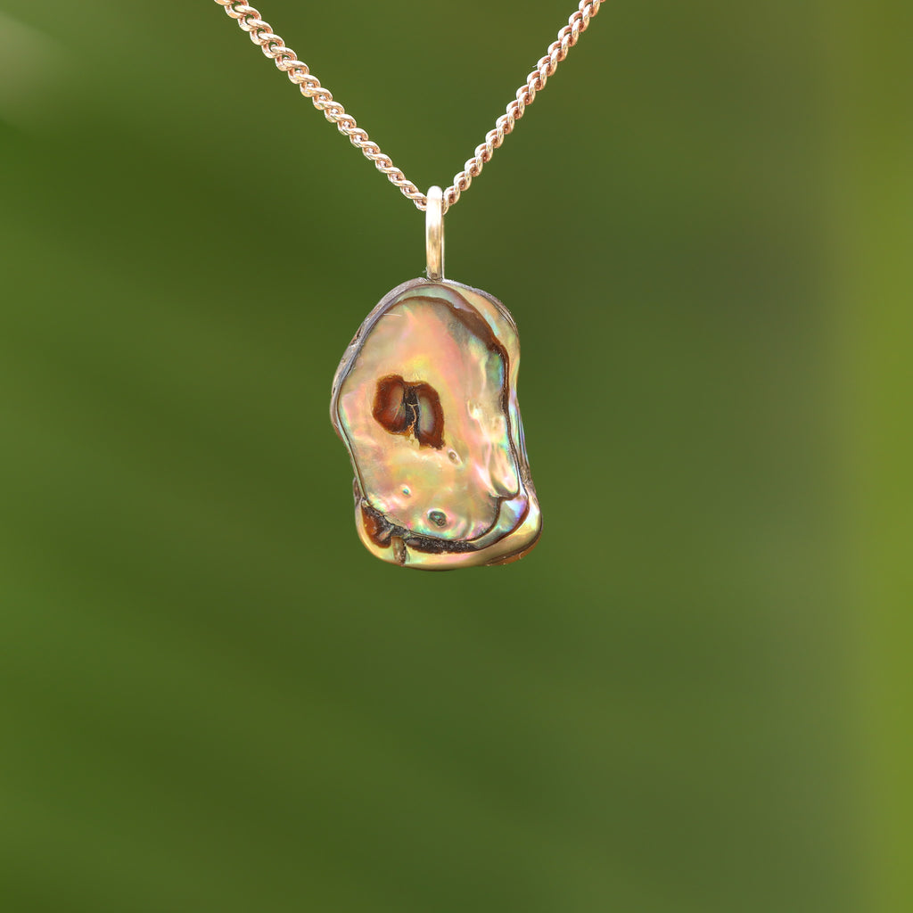 Paua Schelp