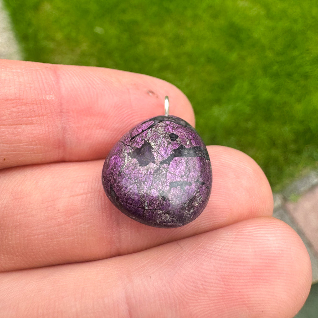 Purpuriet - Brazilië