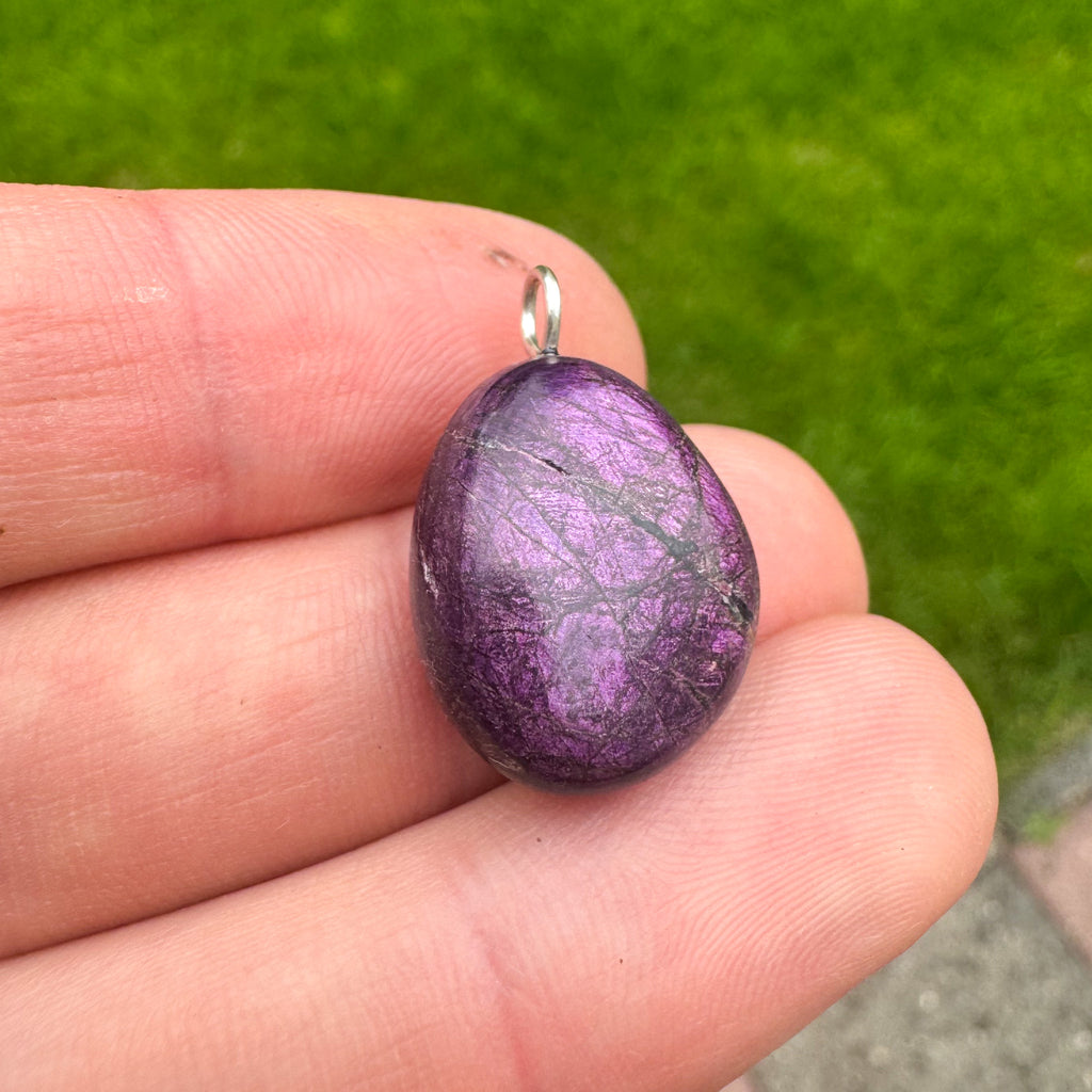 Purpuriet - Brazilië