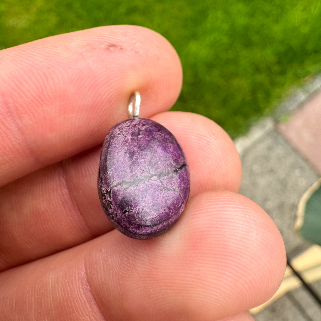 Purpuriet - Brazilië