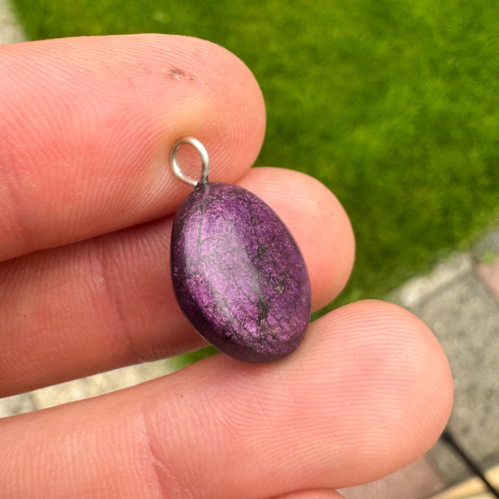 Purpuriet - Brazilië