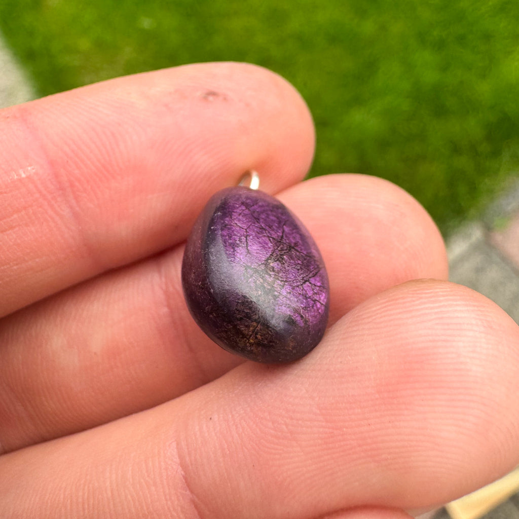 Purpuriet - Brazilië