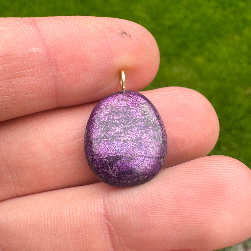 Purpuriet - Brazilië