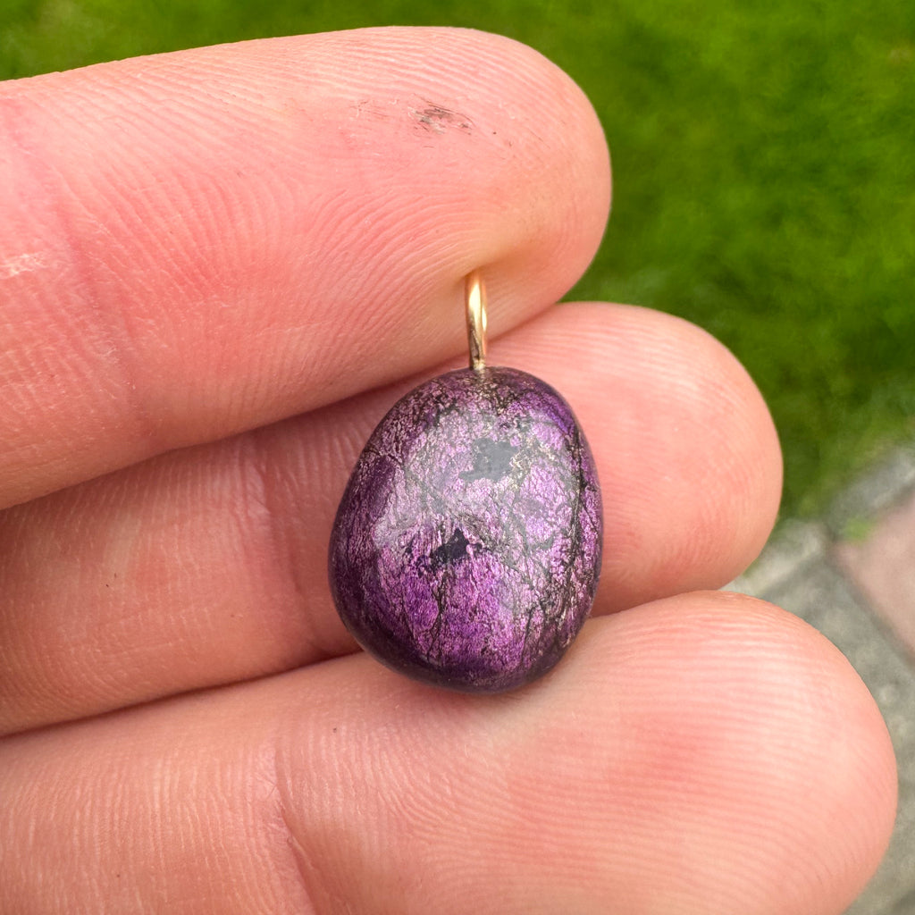 Purpuriet - Brazilië