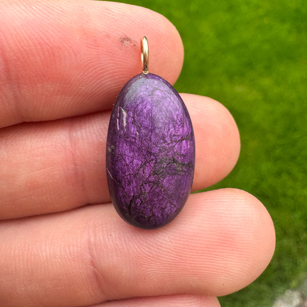 Purpuriet - Brazilië