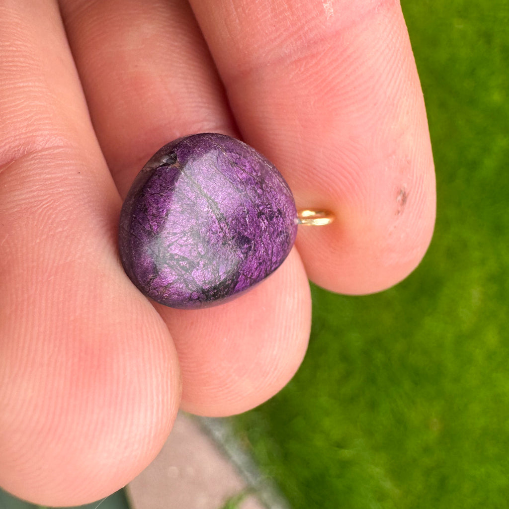 Purpuriet - Brazilië