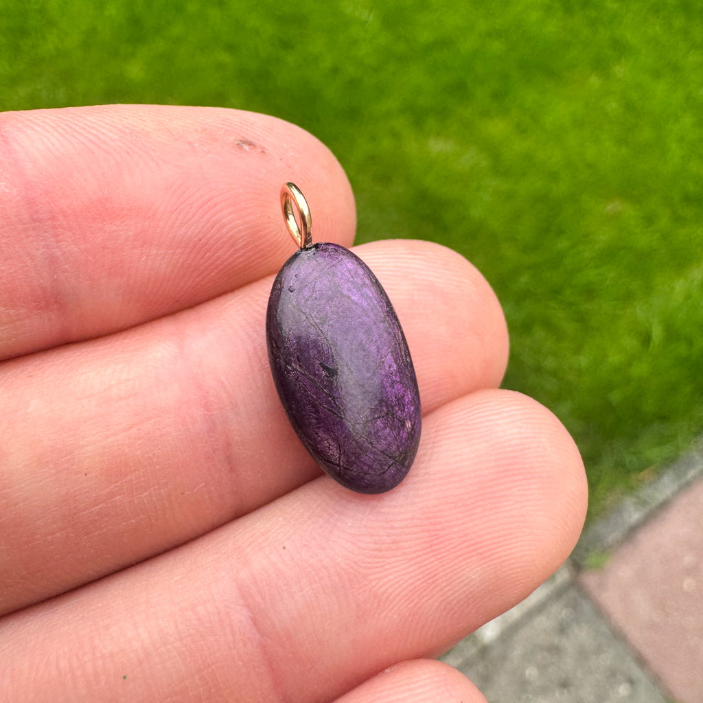 Purpuriet - Brazilië