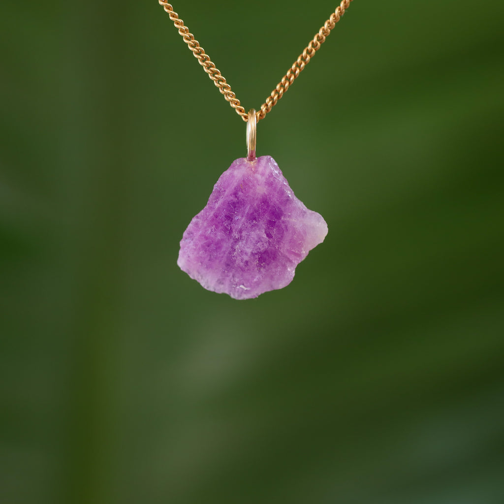 Ruwe Hackmaniet - Afghanistan