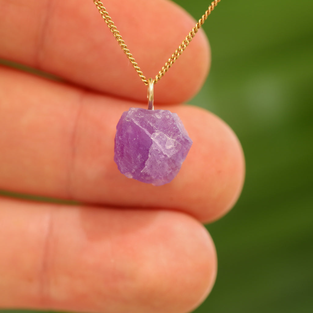 Ruwe Hackmaniet - Afghanistan