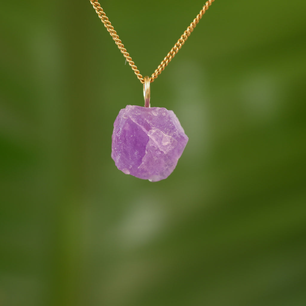 Ruwe Hackmaniet - Afghanistan