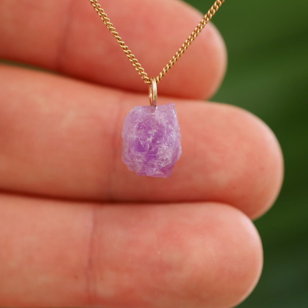 Ruwe Hackmaniet - Afghanistan