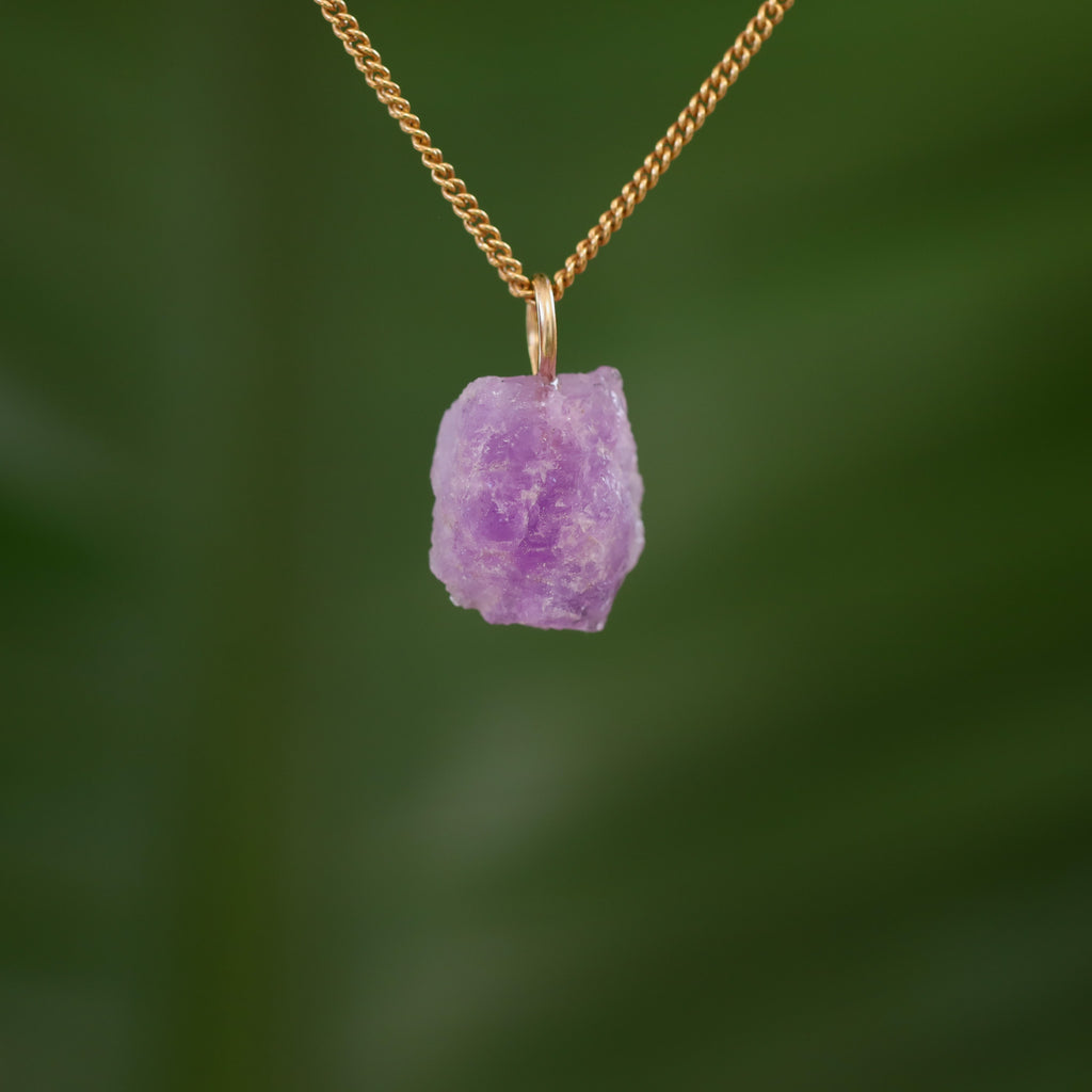 Ruwe Hackmaniet - Afghanistan