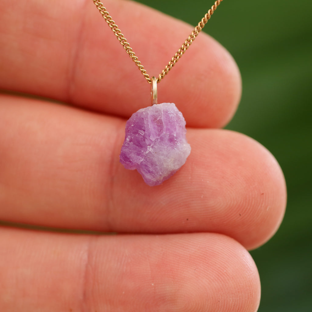 Ruwe Hackmaniet - Afghanistan