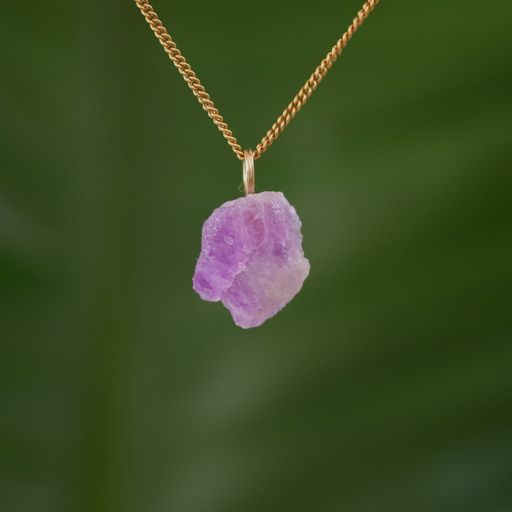 Ruwe Hackmaniet - Afghanistan