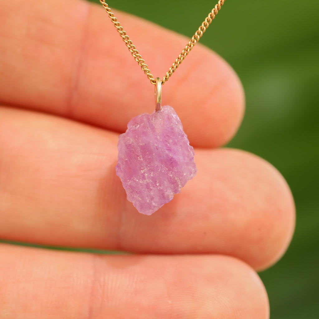 Ruwe Hackmaniet - Afghanistan