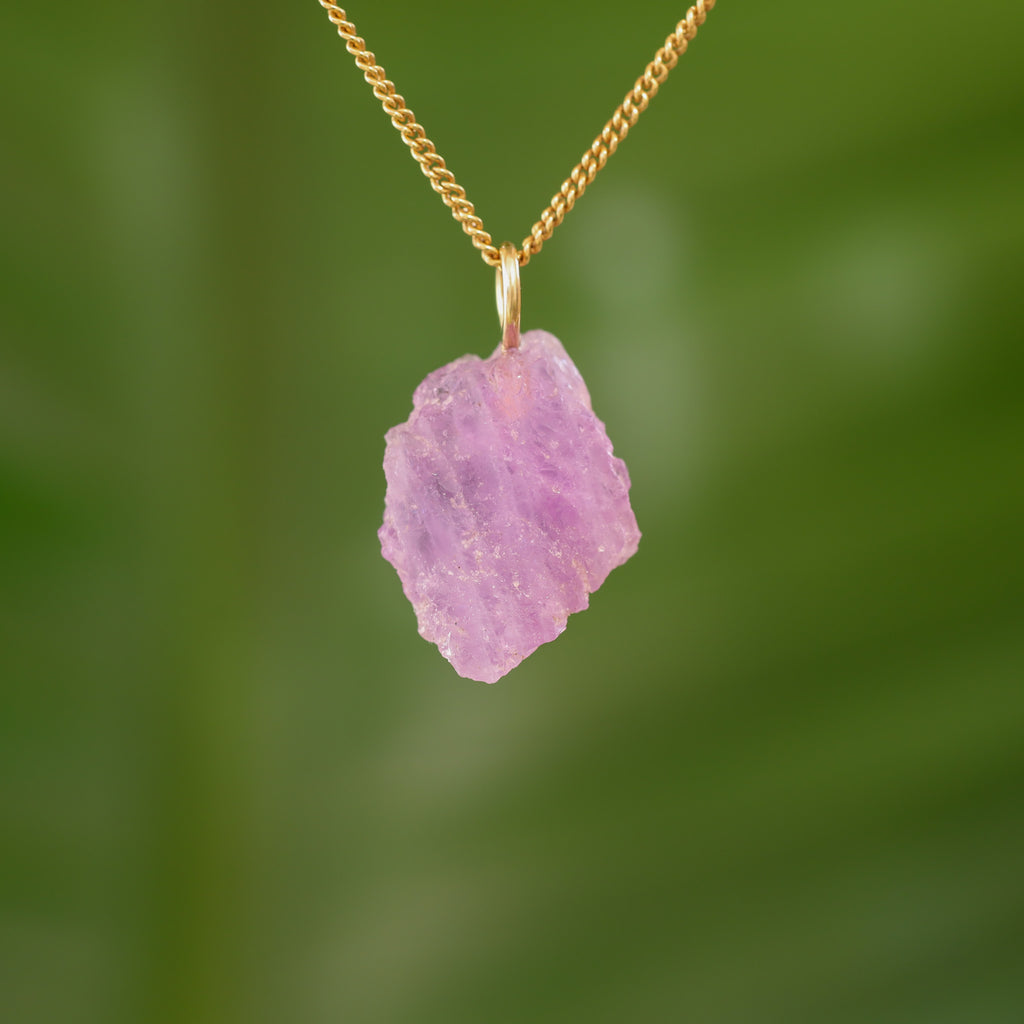 Ruwe Hackmaniet - Afghanistan