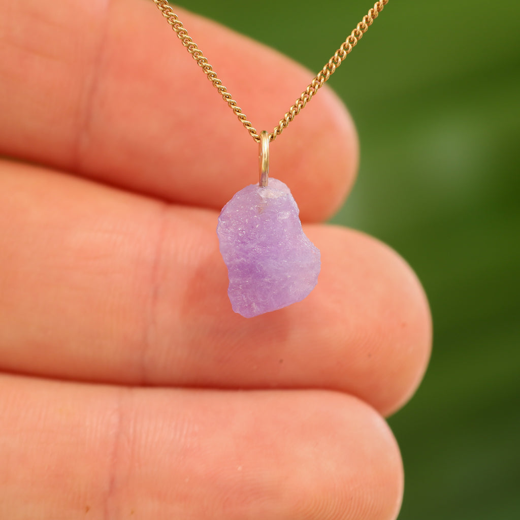 Ruwe Hackmaniet - Afghanistan