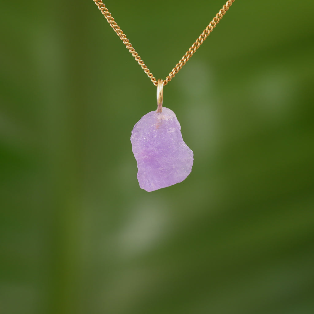 Ruwe Hackmaniet - Afghanistan