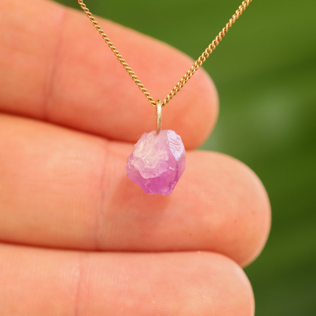 Ruwe Hackmaniet - Afghanistan