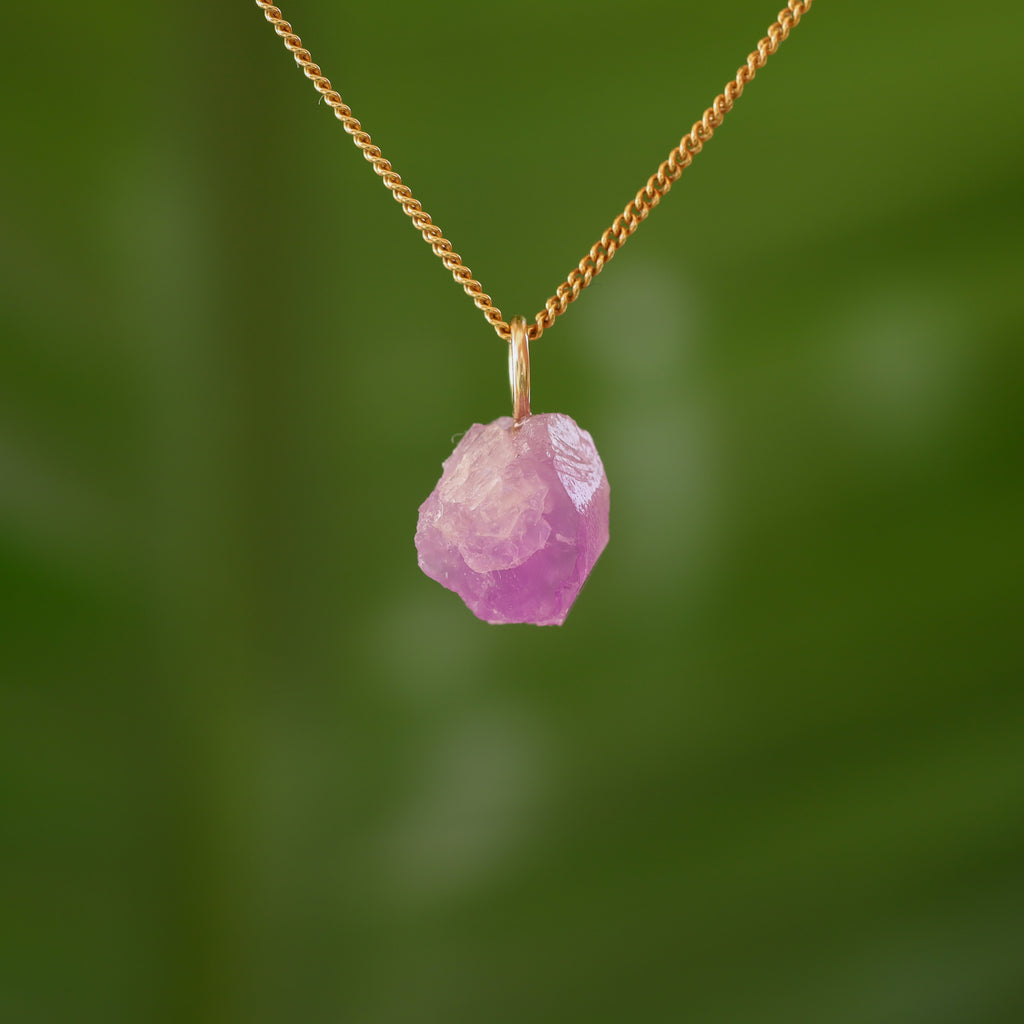 Ruwe Hackmaniet - Afghanistan