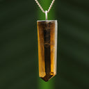 Citrien hanger