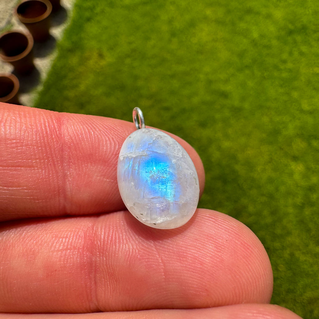 Regenboog Maansteen - India