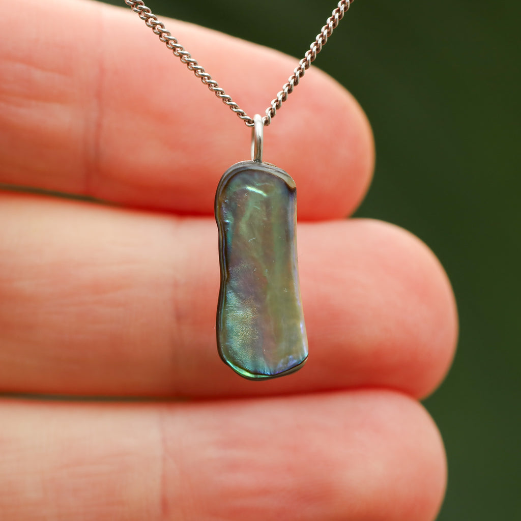 Paua Schelp - Nieuw zeeland