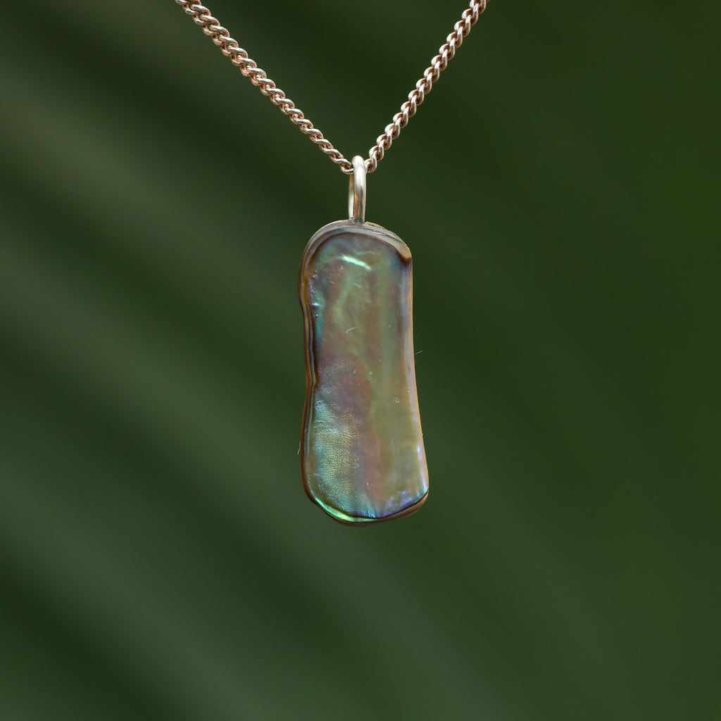 Paua Schelp - Nieuw zeeland