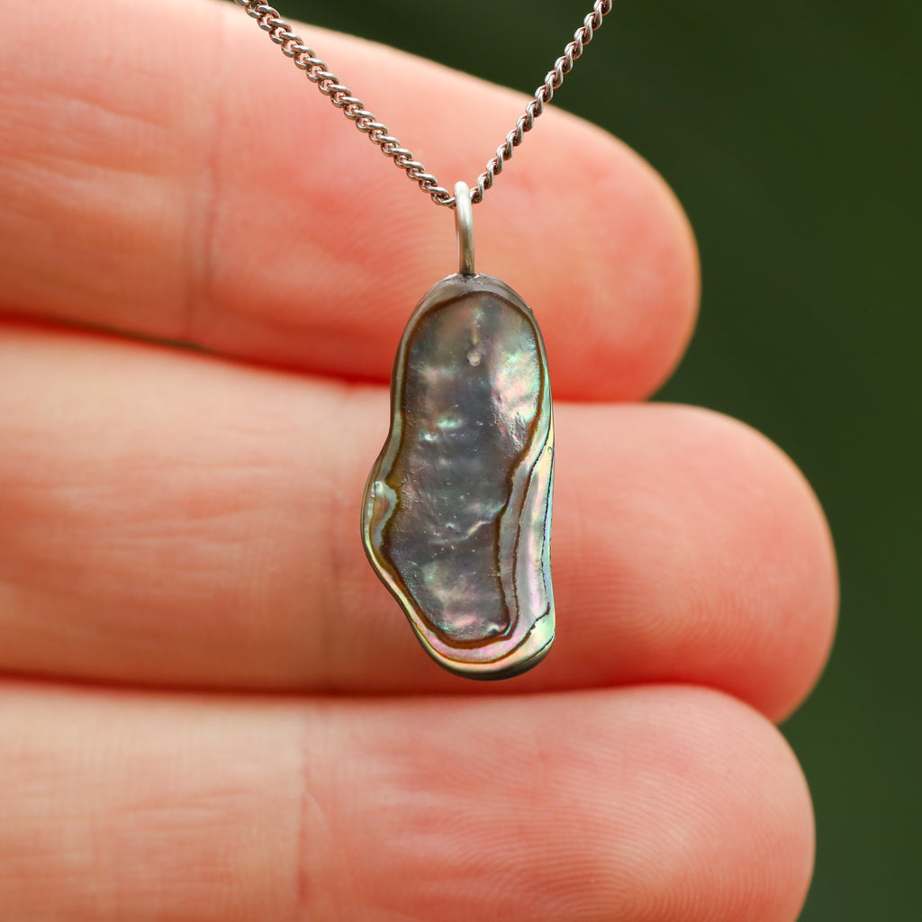 Paua Schelp - Nieuw zeeland