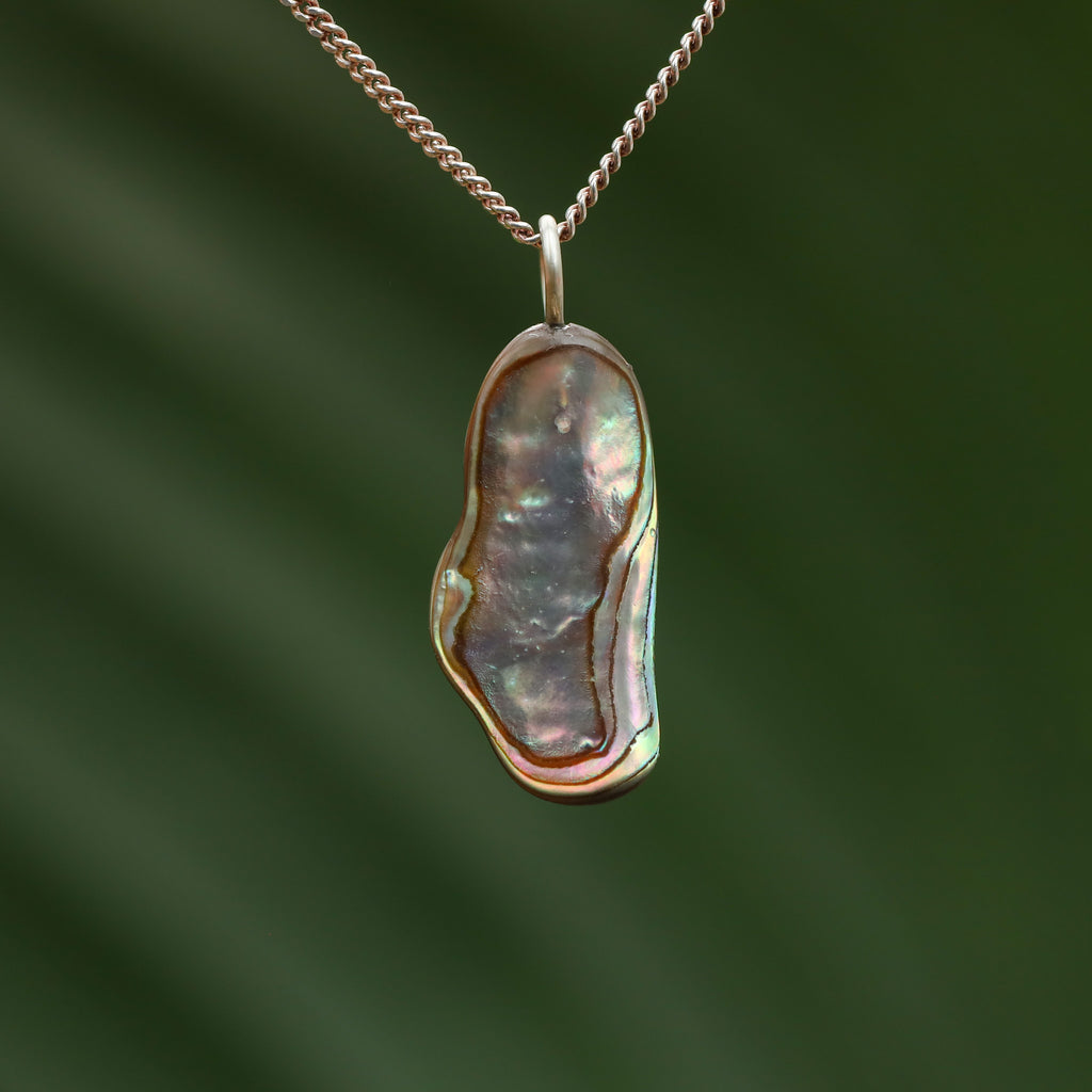 Paua Schelp - Nieuw zeeland