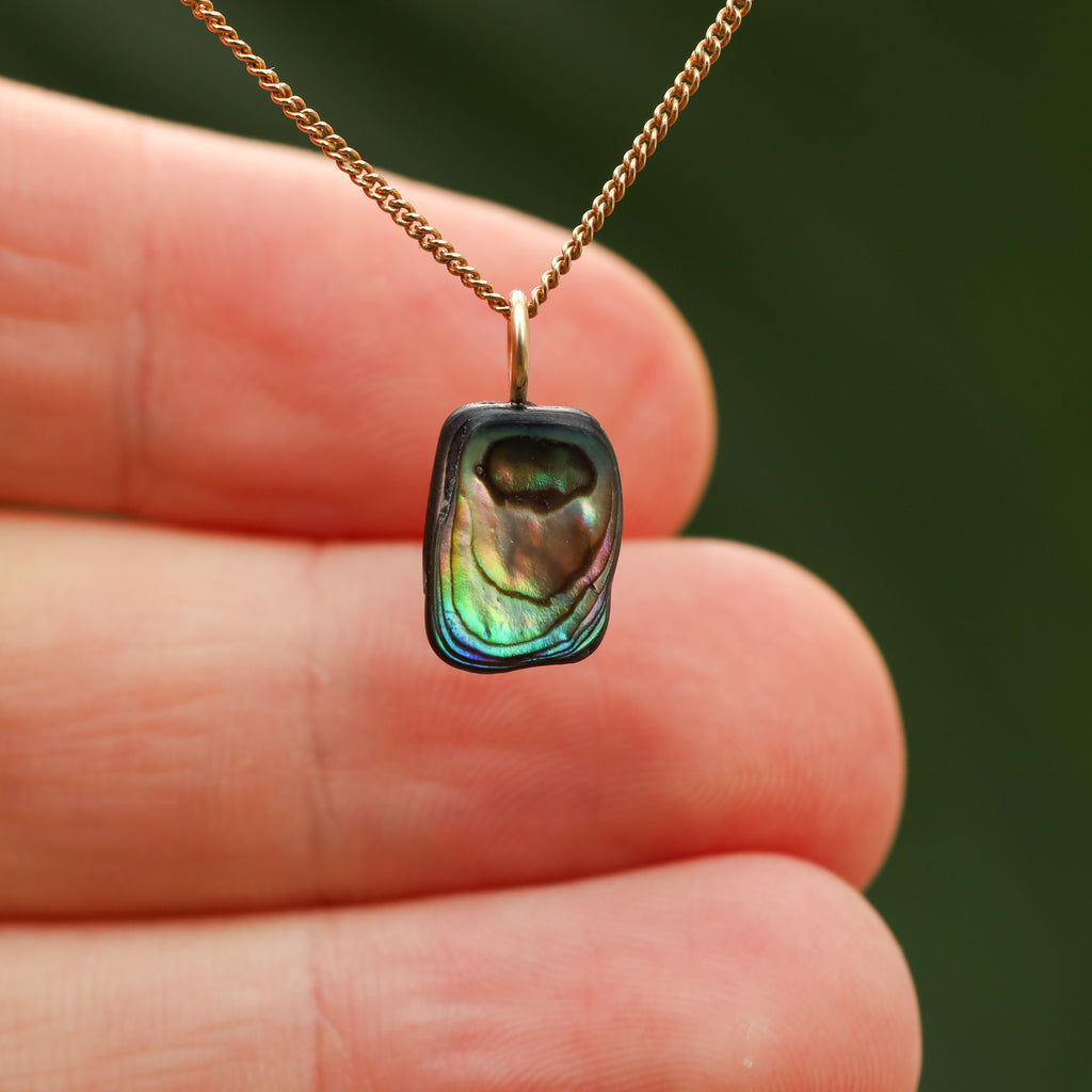 Paua Schelp - Nieuw zeeland