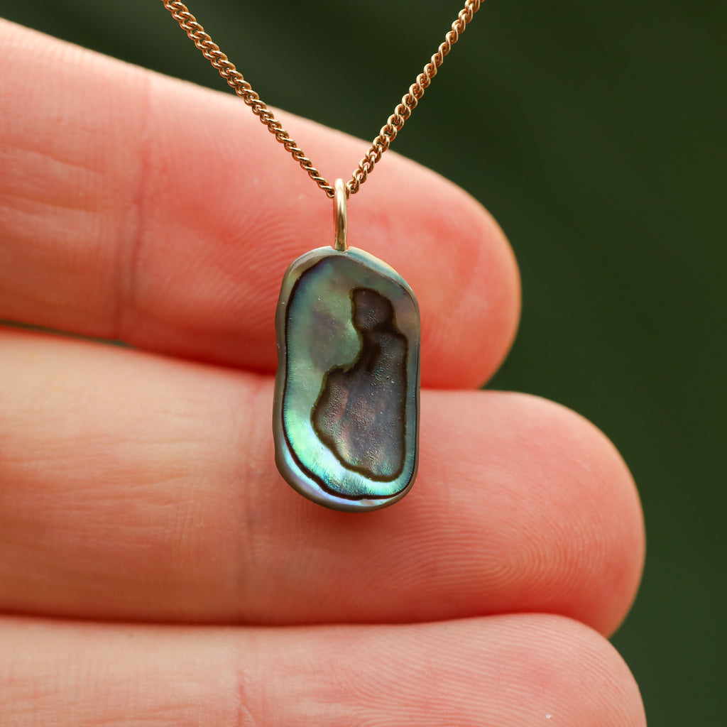 Paua Schelp - Nieuw zeeland