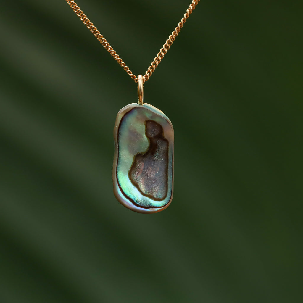 Paua Schelp - Nieuw zeeland