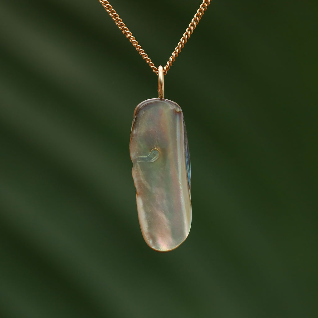 Paua Schelp - Nieuw zeeland