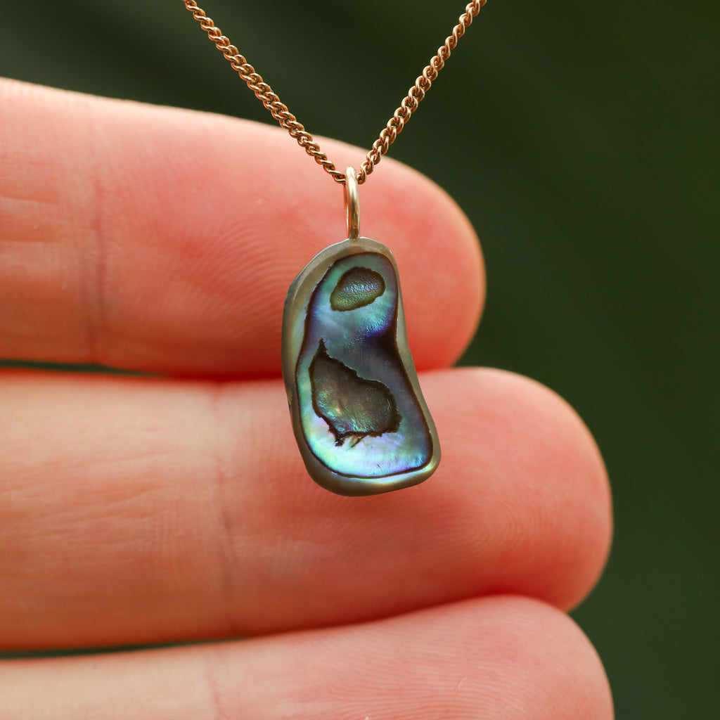 Paua Schelp - Nieuw zeeland