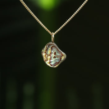 Paua schelp hanger