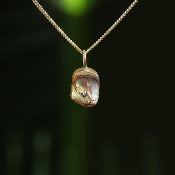 Paua schelp hanger