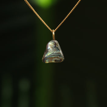 Paua schelp hanger